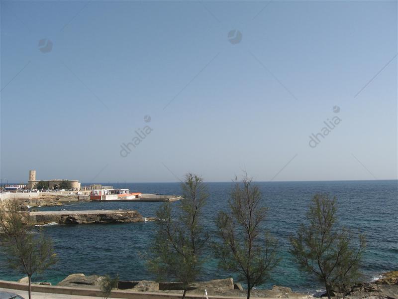 P000140084