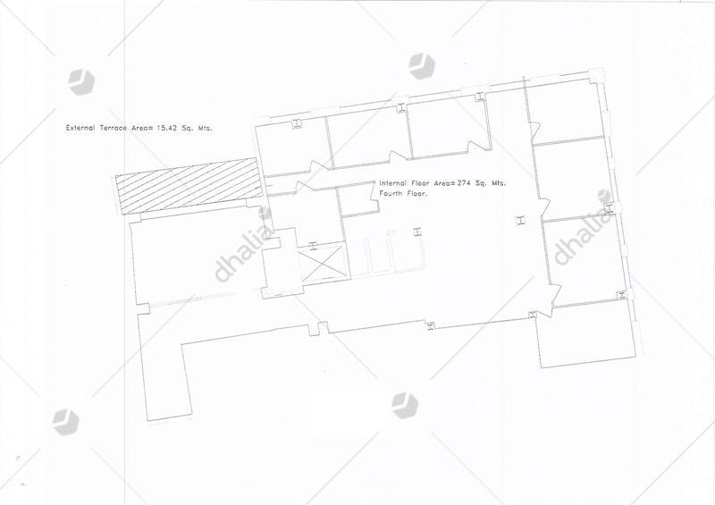 P000175311