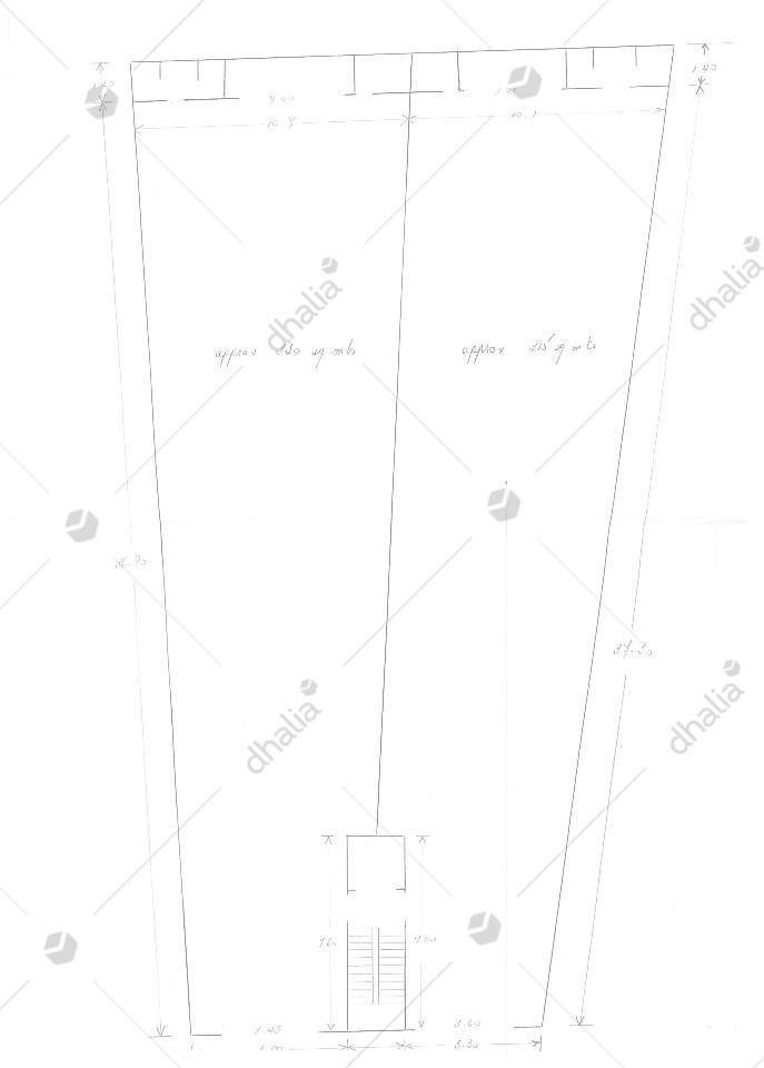 P000200586
