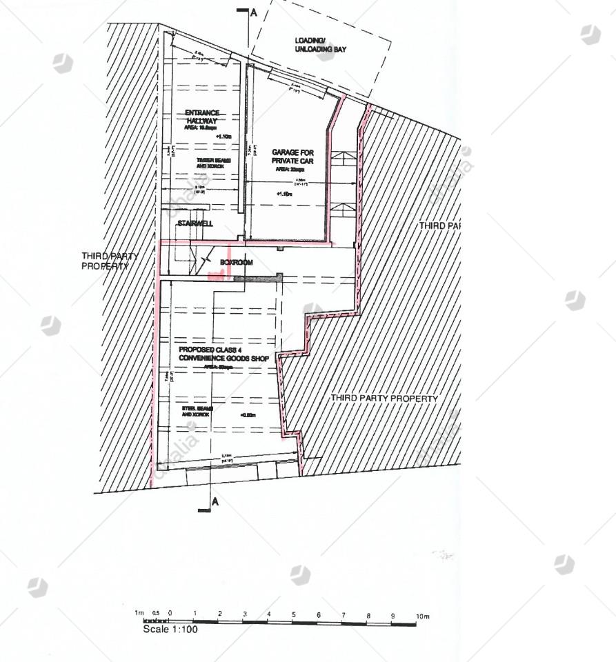 P000209553